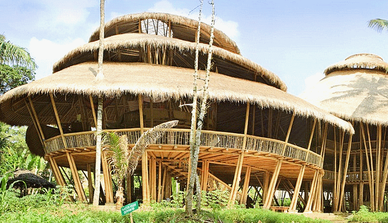 africa_afrique_forêt_forest_deforestation_sustainable__wood_bois_culture_agriculture_asia_asie_china_chine_india_inde_vietnam_laos_bali_development_architecture_house_moso_bambou_bamboo_bambu_bambusa_développement_durable_cop_21